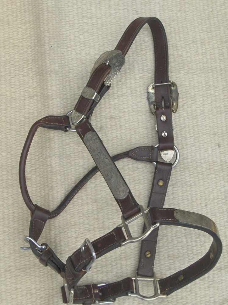 BILLY ROYAL WESTERN SHOW HALTER with SILVER@@