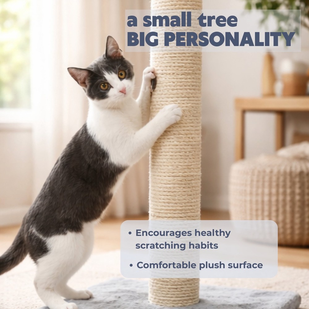 Parla Sisal 24.5" Cat Scratching Post with Plush Base, Gray