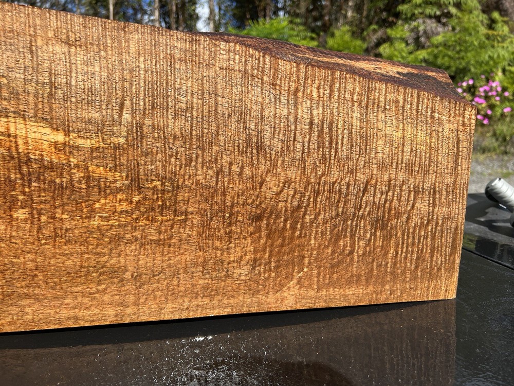 Hawaiian Curly Mango Board #10437