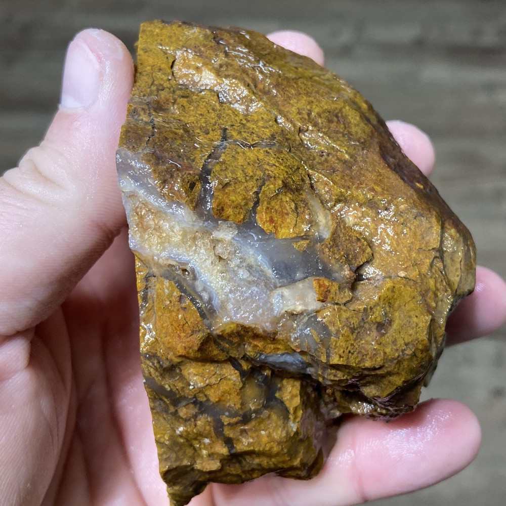 Stony Creek Brecciated Jasper Lapidary Rough 14.17 Oz!