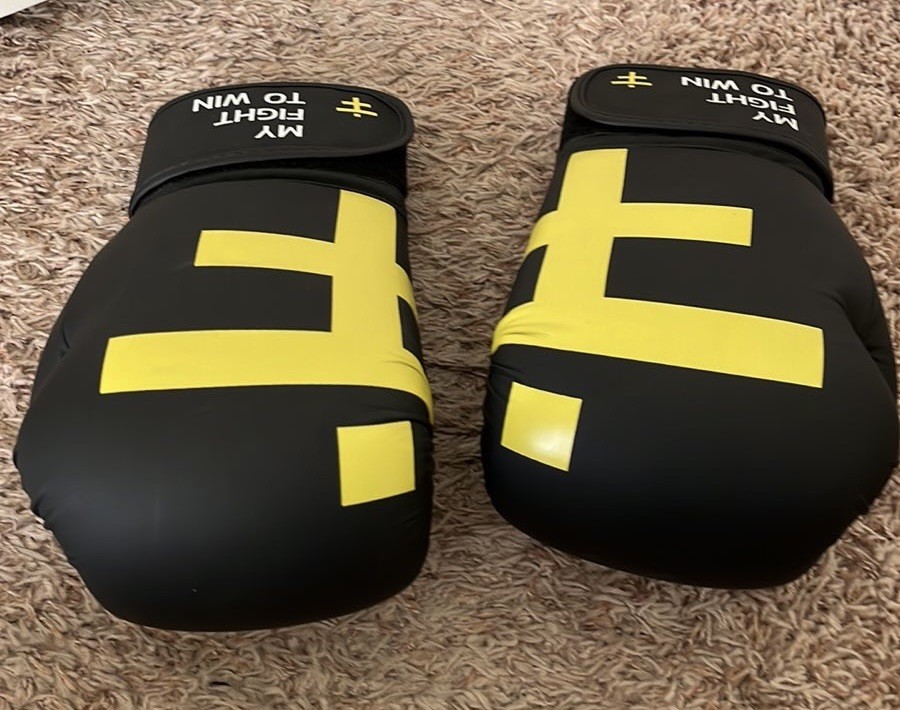 Fit theorem Boxing Gloves