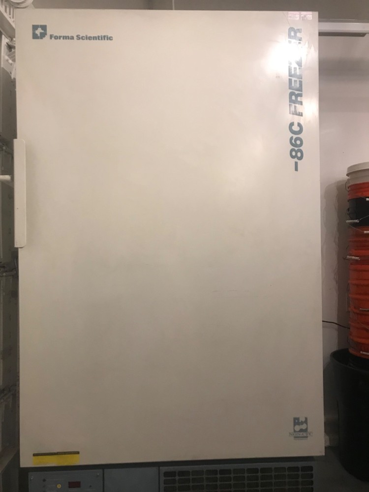Forma scientific cryo freezer -86c