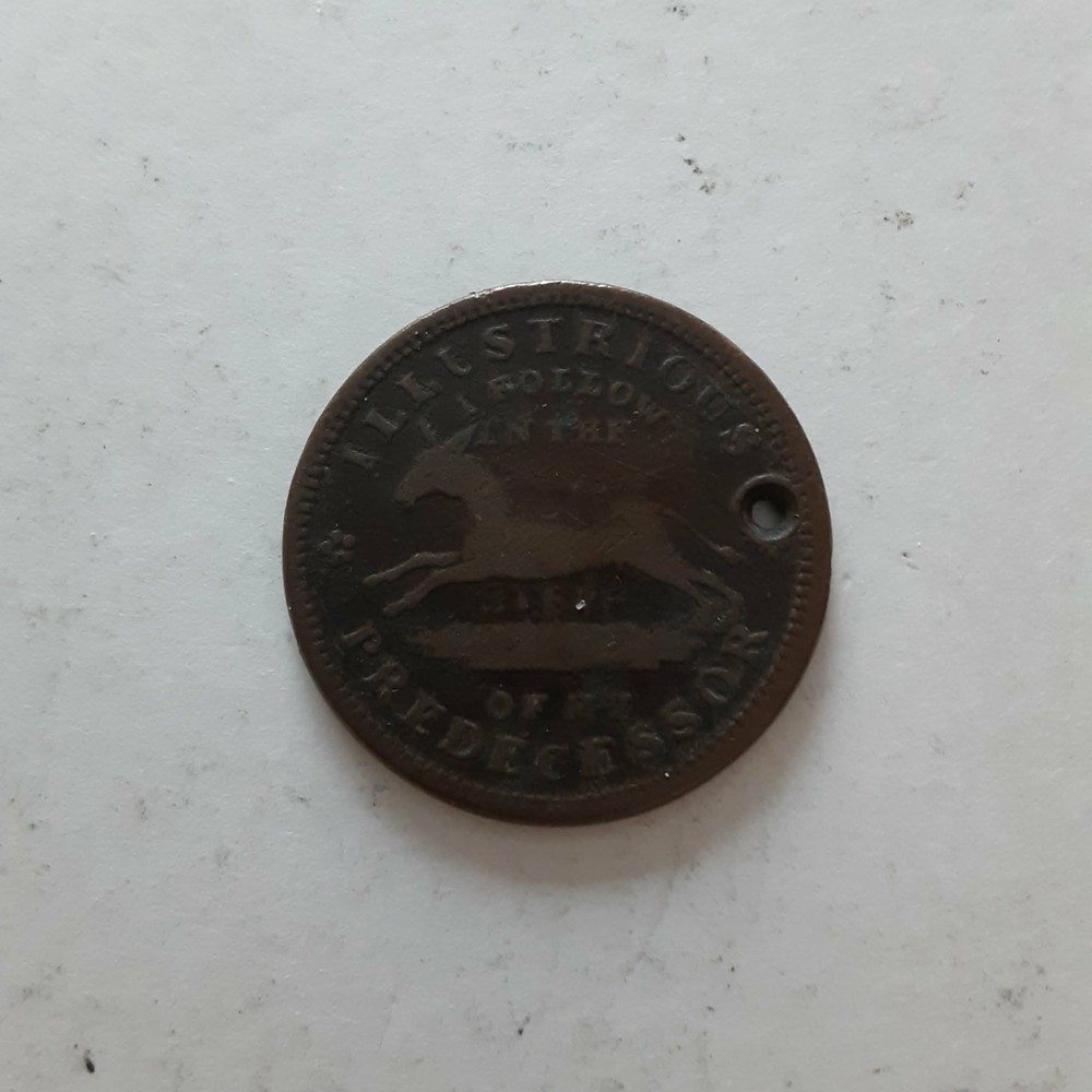 1837 Andrew Jackson Executive Experiment Jackass Turtle