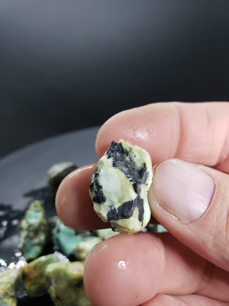Nevada Gecko Variscite Rough 1/4 Lb