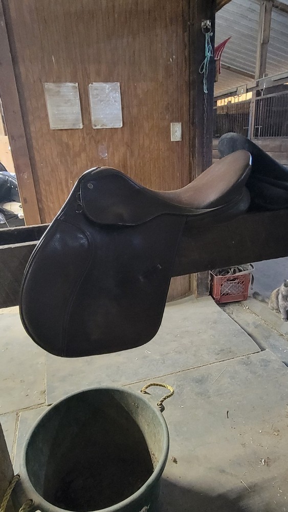 Collegiate Saddle 17 Inch