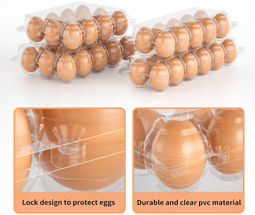 50 Pack Plastic Egg Cartons, 12-Count Clear Reusable Containers for Eggs Crafts
