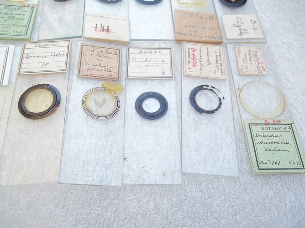 Vintage Glass Microscope Slides - As shown