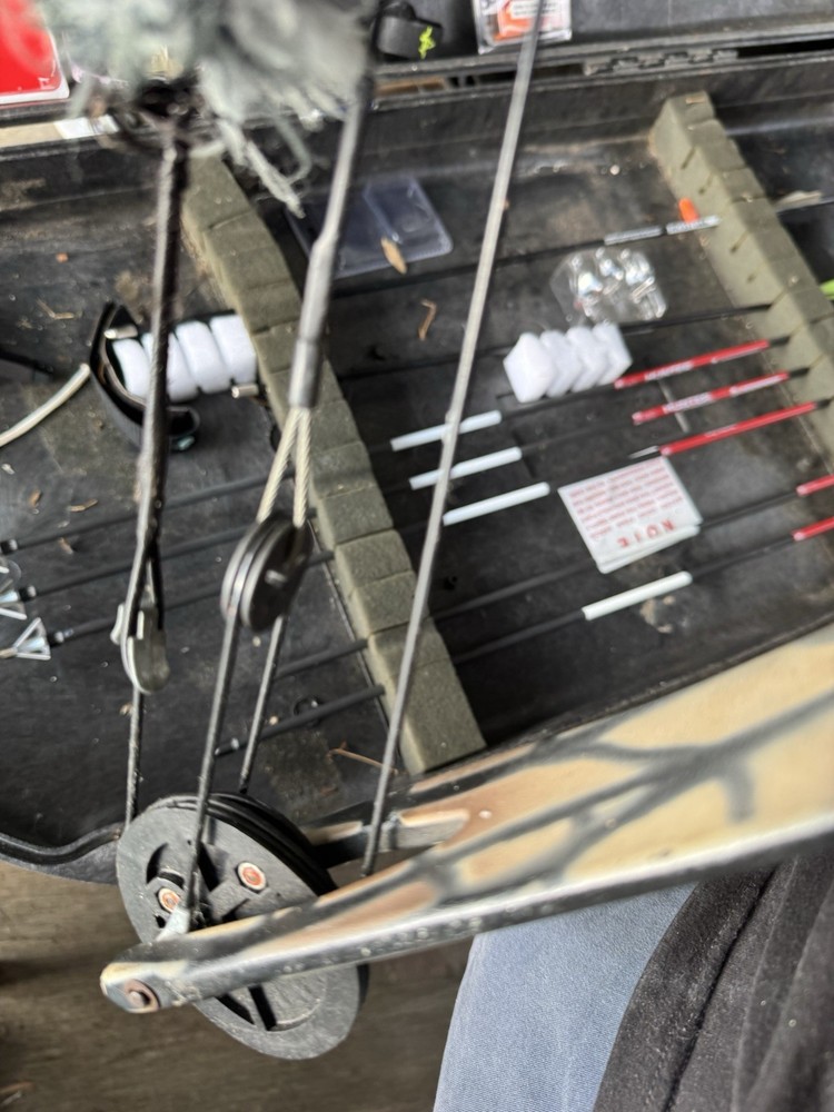 Bear Whitetail II 30"/60 # Right-Hand Compound Archery Bow