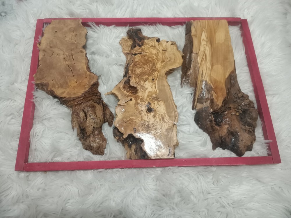 Olive Slab Set for Vertical River Table 24-32-48
