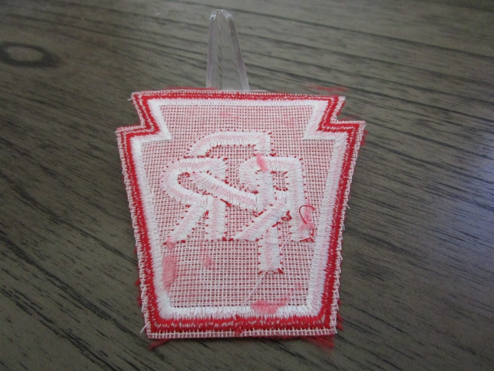 RPS Richmond Pacific Railroad Patch #593S