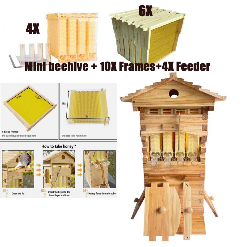 MINi Auto Bee Hives Honey House Bee Hive Boxes +10x Bee Beekeeping Frames US