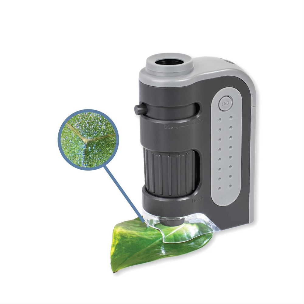 Carson MicroBrite Plus 60x-120x LED Pocket Microscope Set of 4 Black/Grey