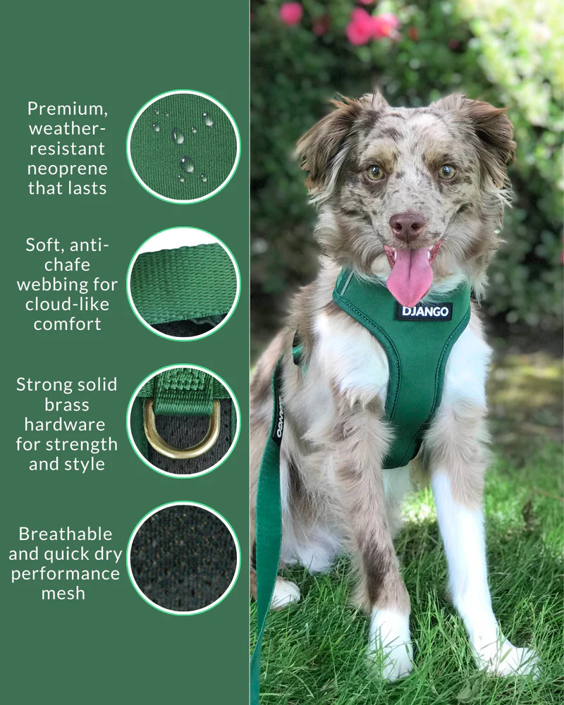 NWT Django Adventure Dog Harness - Forest Green