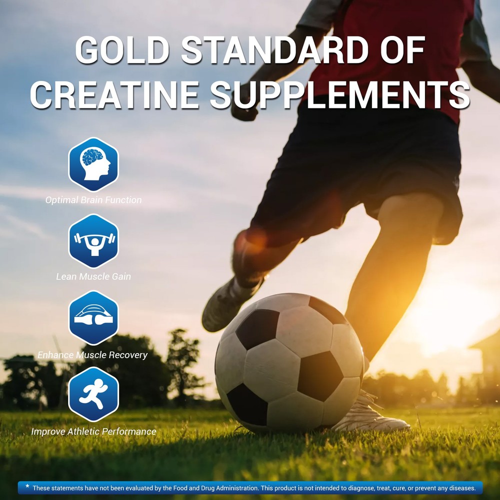 Creatine Monohydrate Micronized Powder: 5lb - Support Muscle Growth, Strength