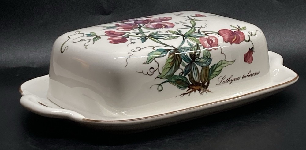 BOTANICA Villeroy & Boch 8 7/8" Rectangular Butter Dish Lathyrus Tuberosus