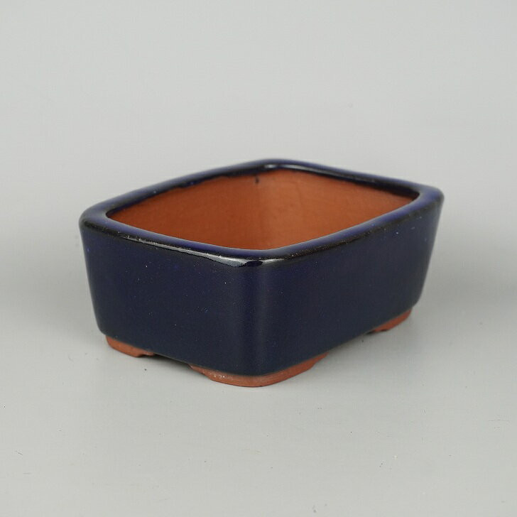 Used Bonsai Pot Yozan Eimei – Rectangular, Lapis Glaze, 15.2cm (6in) Long