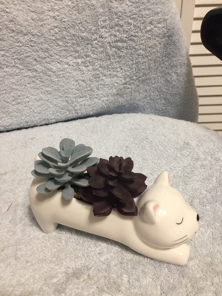 Kitty Cat Succulent White 6" X 3" New No Box