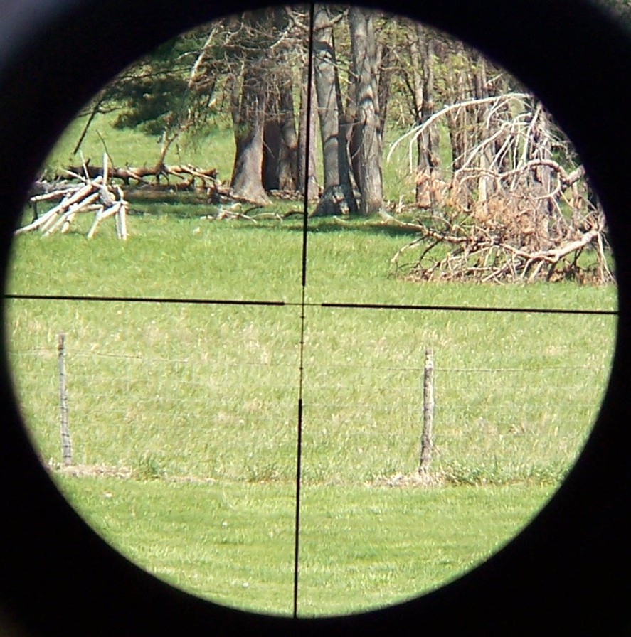 Burris Timberline 4.5-14x32mm Rifle Scope *Nice*