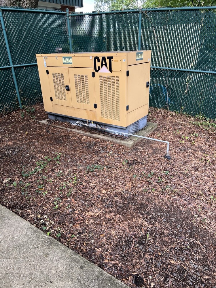 generator 45 Gas Natural