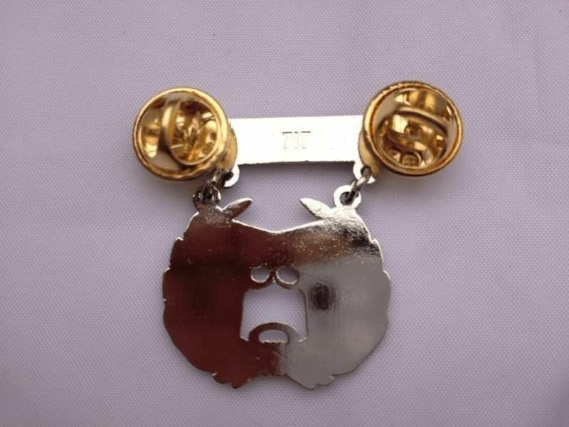 US Marine Pistol Qualification Expert Shooting Badge