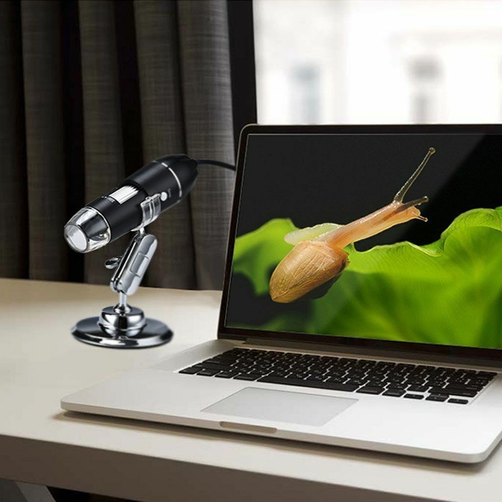 50X-1000X 8 LED Digital Microscope Camera Handheld USB Magnification Endoscope