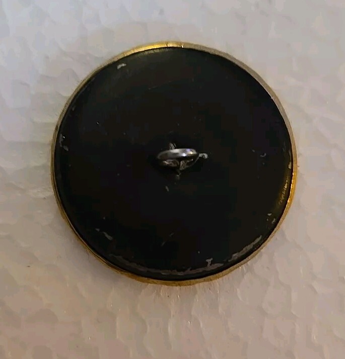 Antique vintage brass Button~GRAPES on vine