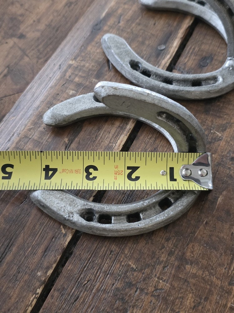 🔥 3 Cast Iron "Horseshoe" Hooks