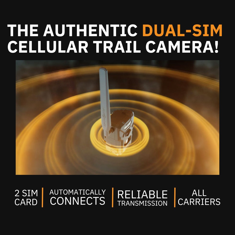 Spypoint FLEX PLUS Cellular Trail Camera Lithium Battery Pack Bundle