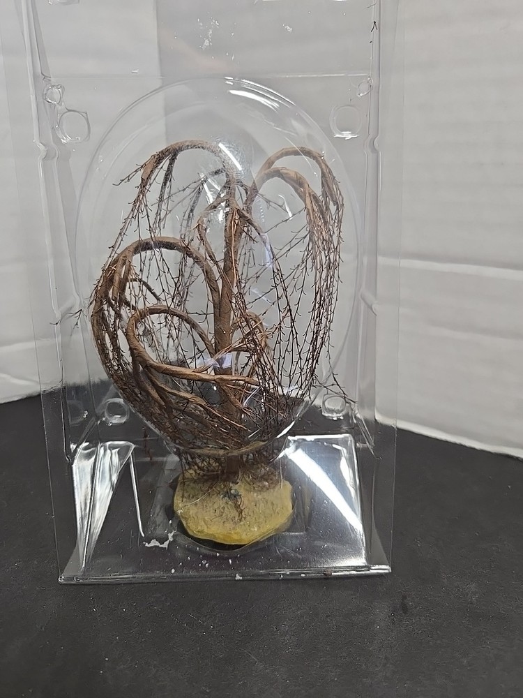 Set Of 4 Packages. Christmas Tree Bundle