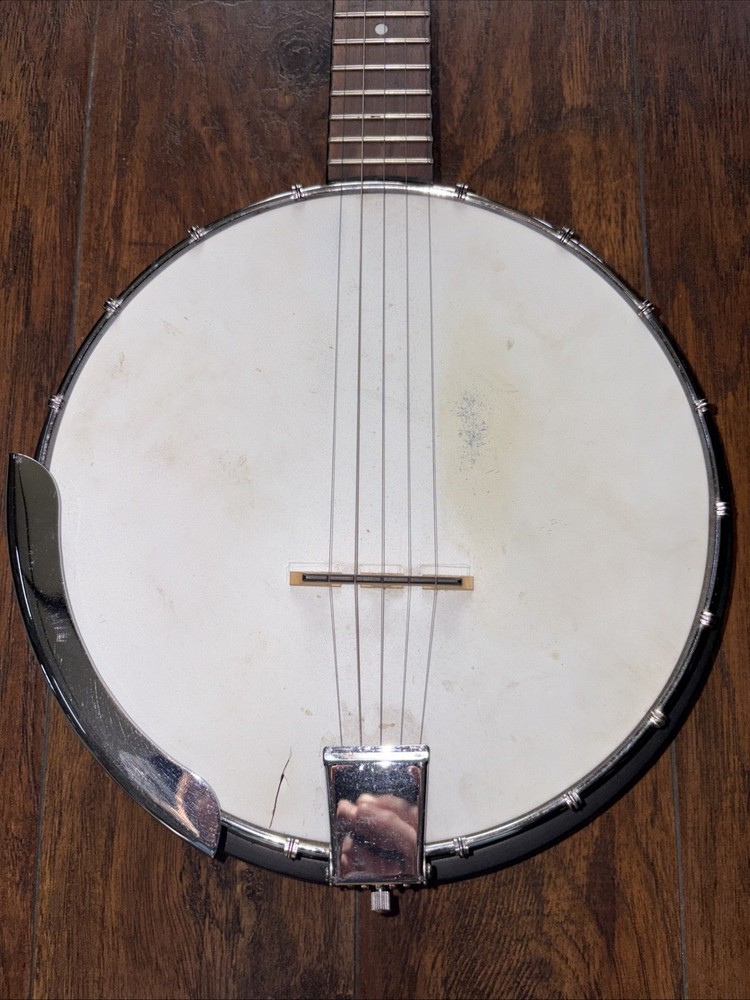 Fender 5 String Banjo & Bag Used