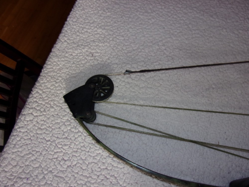 Bear Whitetail Hunter Compound Bow