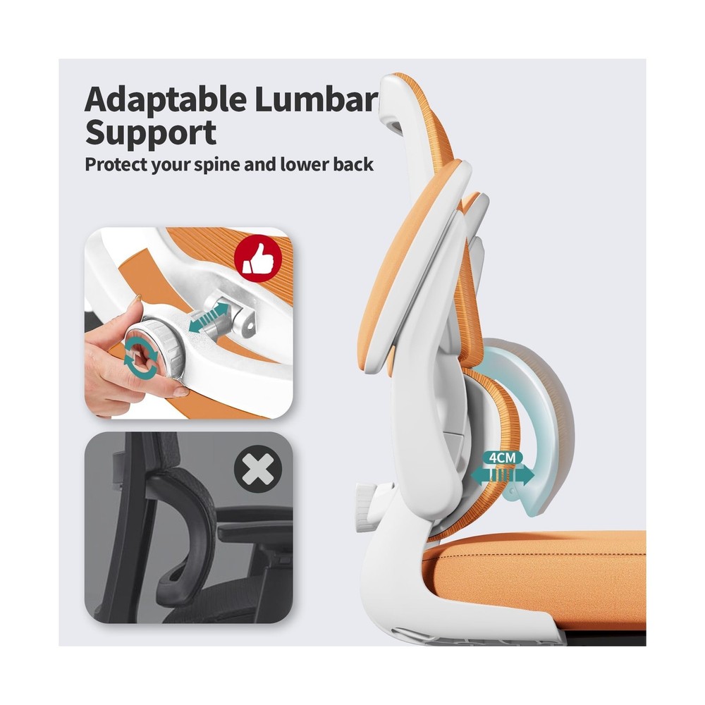 Ergonomic Office Desk Chair w/ Adjustable Lumbar Support + Adjustable Backrest