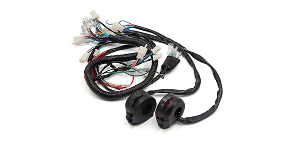 Motorcycle Electrical Main Wire Harness w Handlebar Switch Kit for CG125