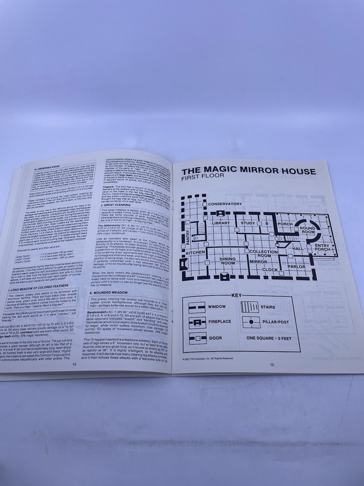EX2 AD&D Module The Land Beyond the Magic Mirror Dungeons & Dragons TSR (1983)