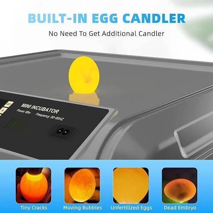 500 Brooder Eggs Incubator Automatic With Egg Turning And Humid Dual Electric