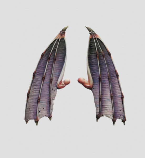 MaxMini Big Wings (3) (*See Per Order Flat Rate Shipping)