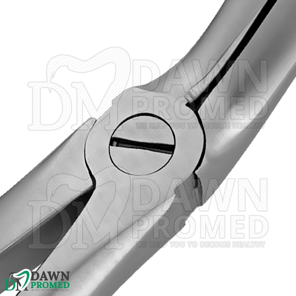 Dental Extracting Forceps #67A Gold Hollow Python Grip Handle German Grade