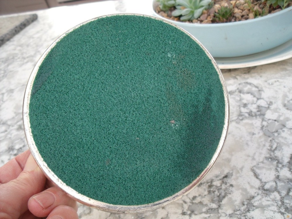 Silver Plated Coaster with Floral pattern ~ Cavalier Made in England.