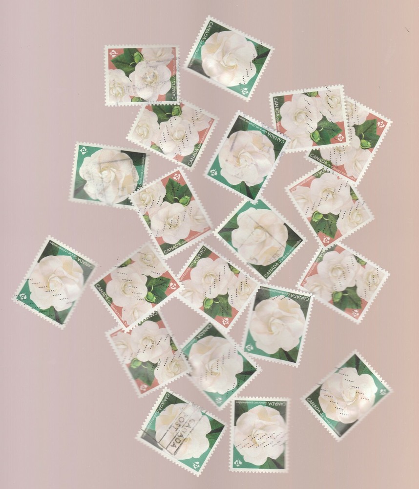 Canada 2019 Gardenia 10 Used Sets from Booklet