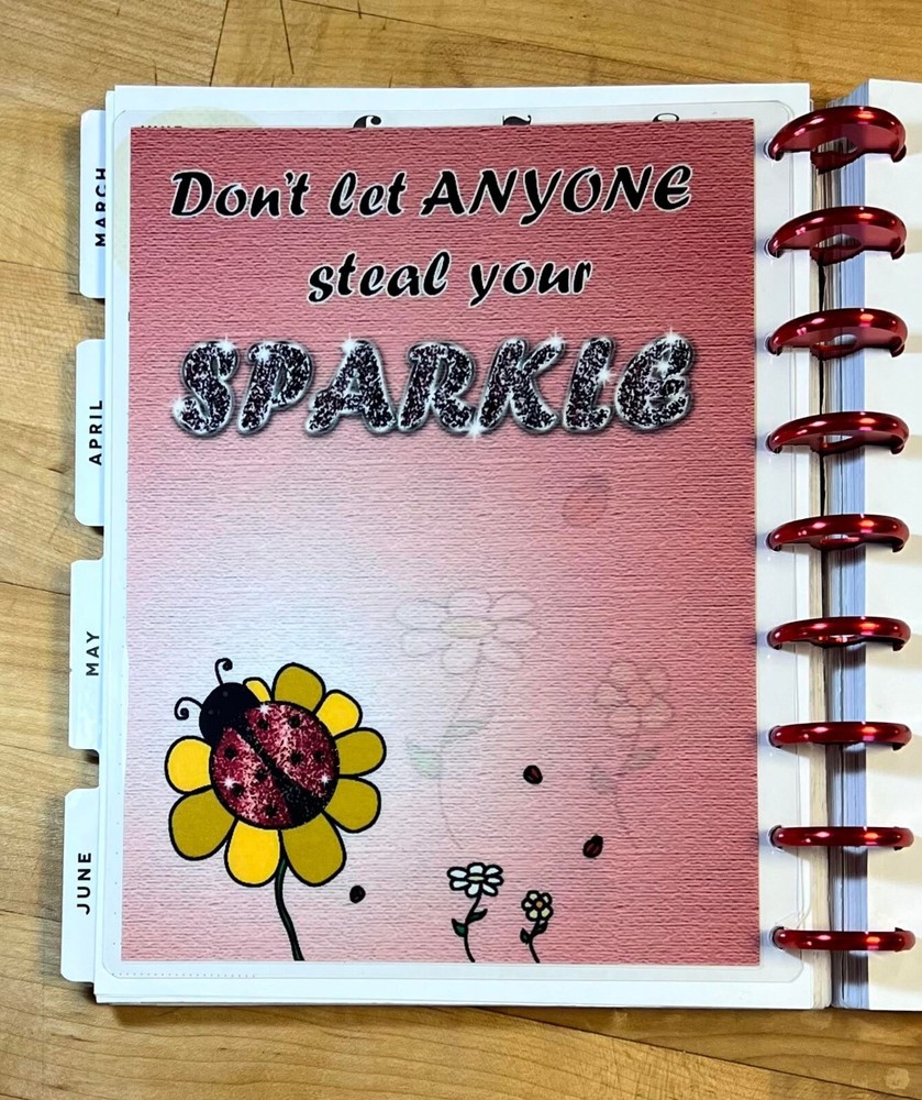 Ladybug Sparkle Two-Sided Dashboard made for use with Classic Happy Planner