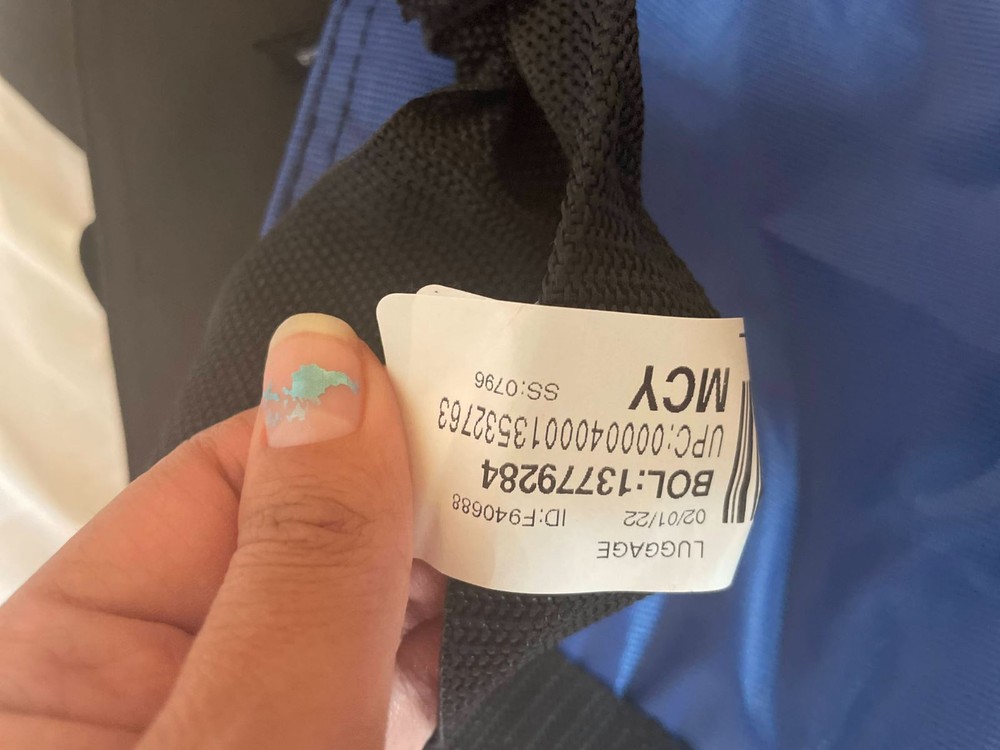 Samsonite Deluxe Ski Bag 74" Blue Black
