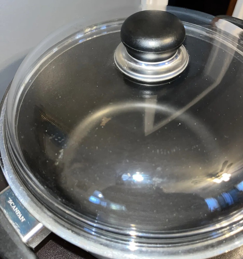Scanpan Ceramic Titanium Pot With Lid**peeled Coating Inside **