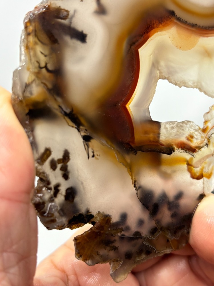 Turkish Stick Agate slab Cabbing Lapidary Collecting Combo Ship aval