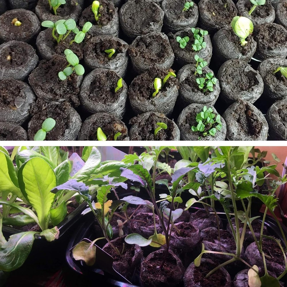 Eco-Friendly 55pcs 30mm Compressed Nursery Soil Seed Starters for Various Plants