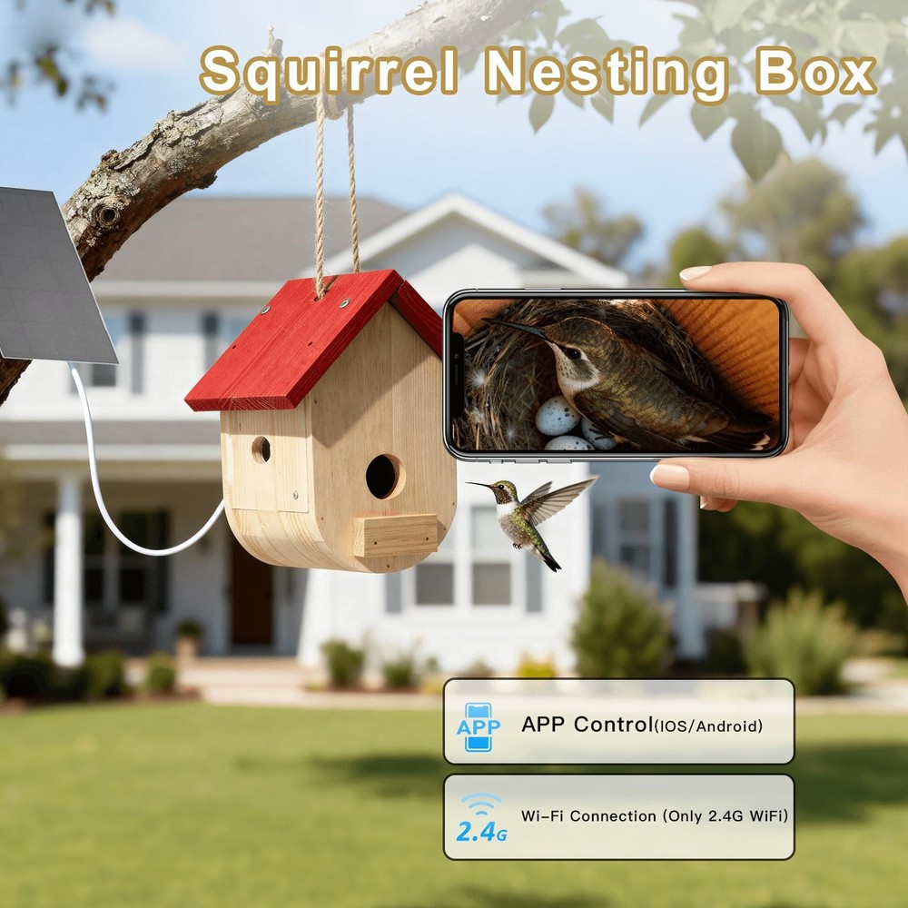 Hummingbird House with Solar Powered