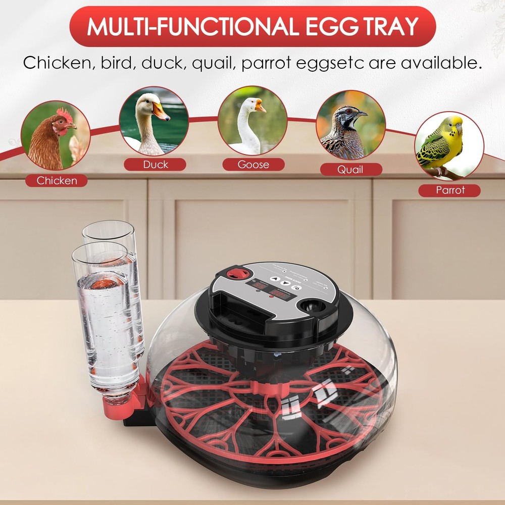 Incubators for Hatching Eggs Automatic Egg Incubator with Temperature Control
