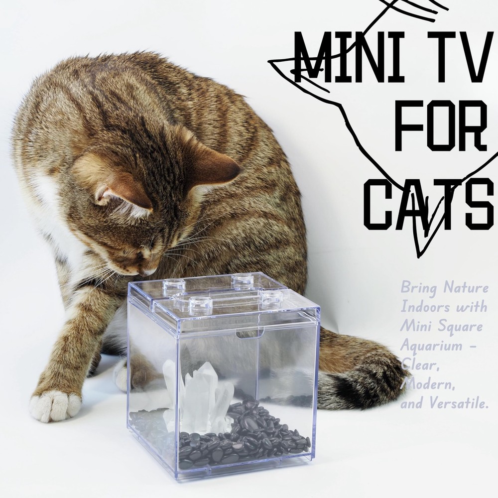 Mini Betta Fish Tank, Stackable Small Fish Bowl for Desktop Decoration, 0.2 G...