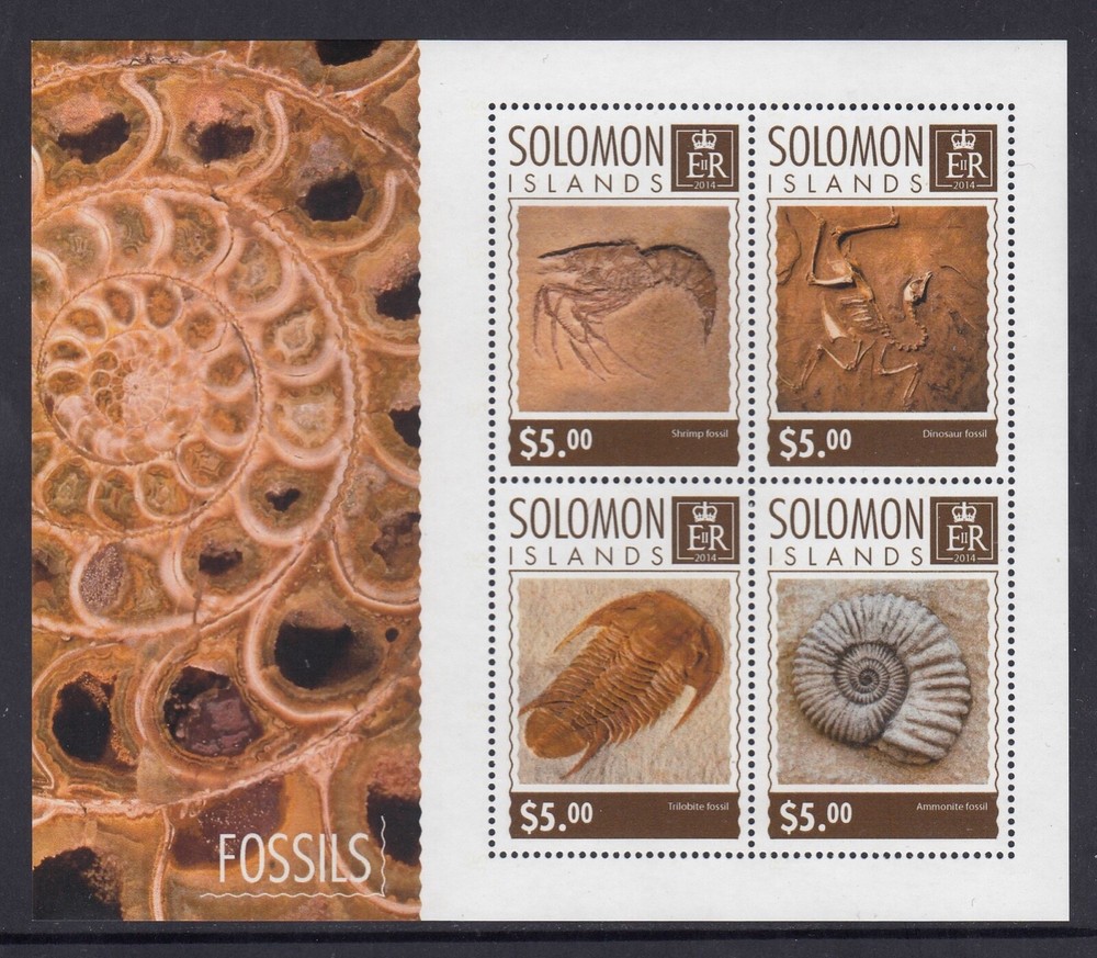 Solomon Islands: MUH Mini Sheet 2014 $20 Fossils