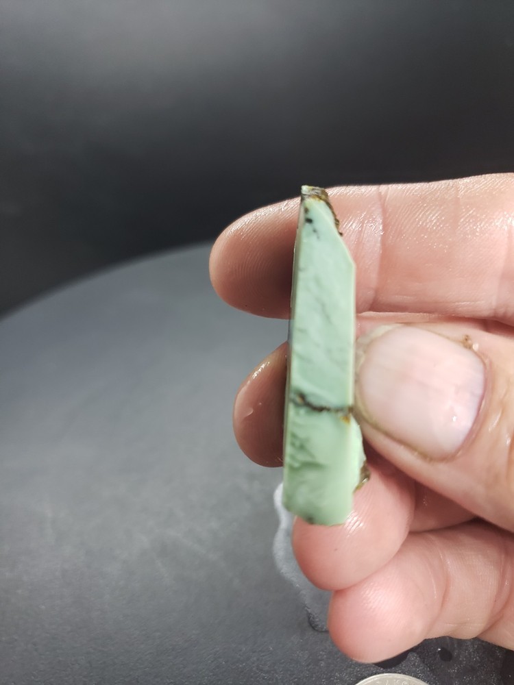 Nevada Frog Blossom Variscite Slab