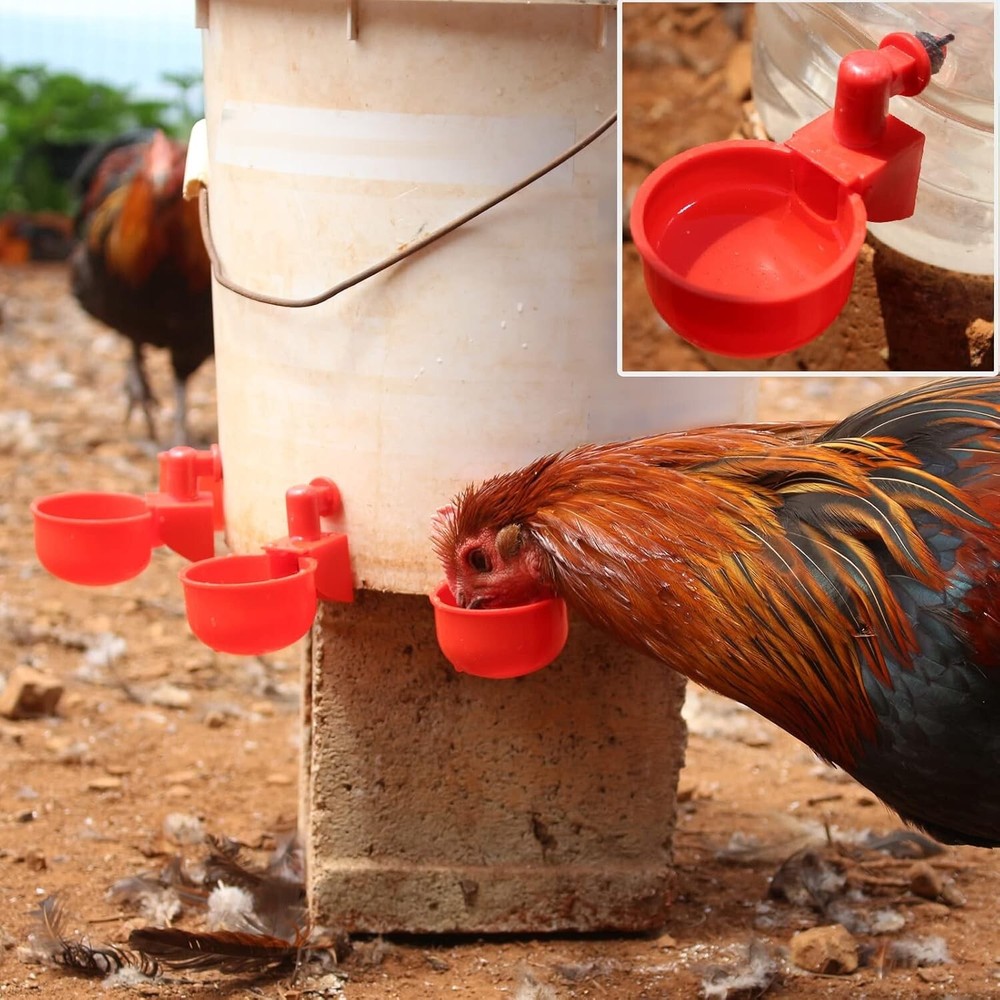 Chicken Water Cups (6 Pack), Large Automatic Chicken Waterer Cups